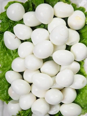 egg process 7 egg process 7
